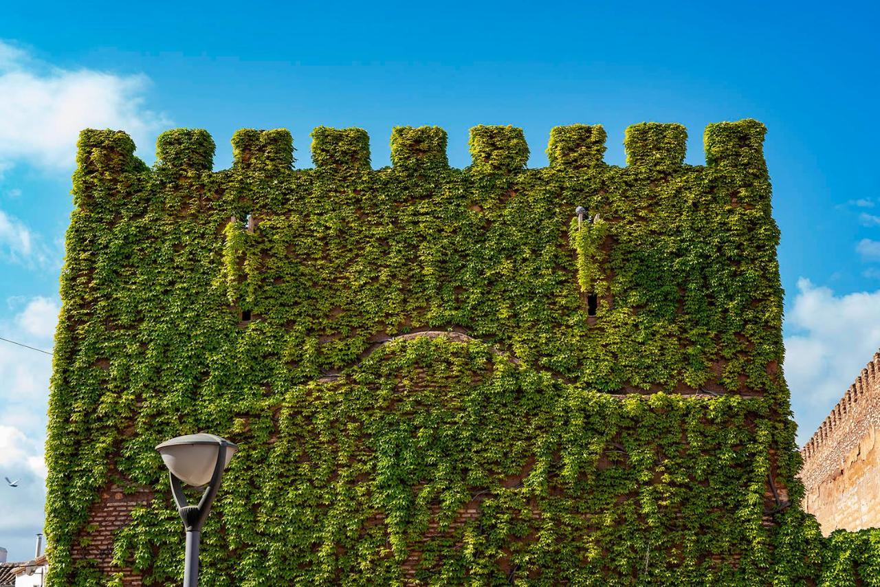 Castillo De Pilas Bonas Manzanares Exterior foto